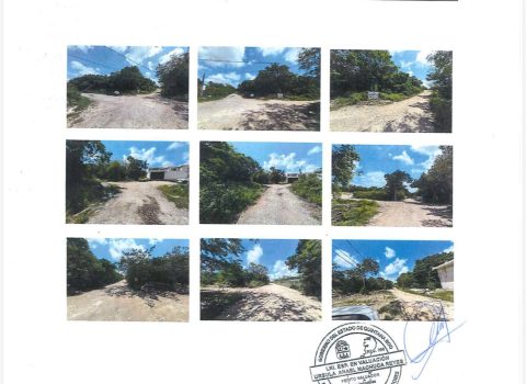 VISTA-FRENTE